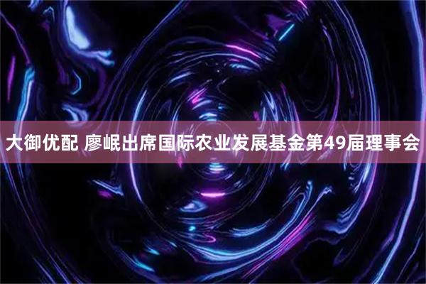 大御优配 廖岷出席国际农业发展基金第49届理事会