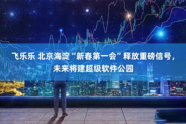 飞乐乐 北京海淀“新春第一会”释放重磅信号，未来将建超级软件公园