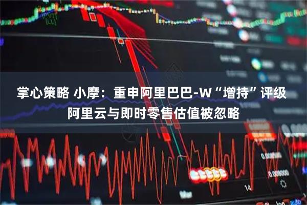 掌心策略 小摩:重申阿里巴巴-W“增持”评级 阿里云与即时零售估值被忽略