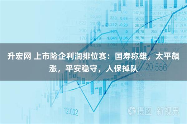 升宏网 上市险企利润排位赛：国寿称雄，太平飙涨，平安稳守，人保掉队