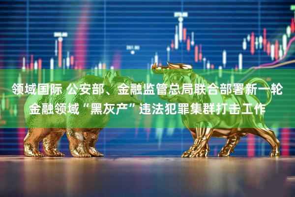 领域国际 公安部、金融监管总局联合部署新一轮金融领域“黑灰产”违法犯罪集群打击工作