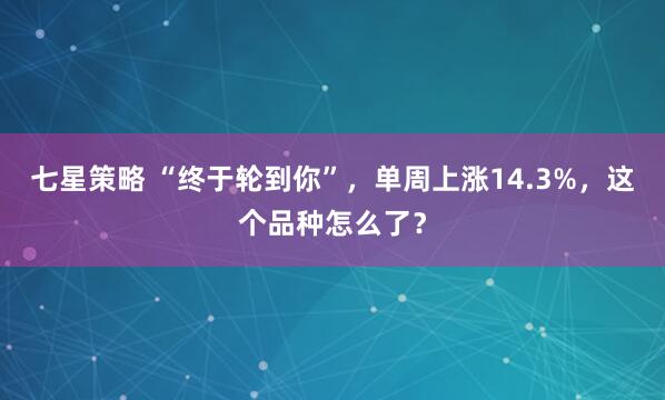 七星策略 “终于轮到你”，单周上涨14.3%，这个品种怎么了？
