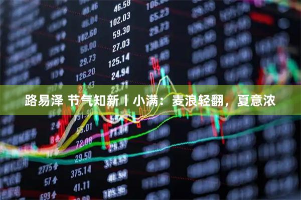 路易泽 节气知新丨小满:麦浪轻翻,夏意浓