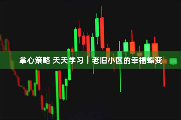 掌心策略 天天学习|老旧小区的幸福蝶变