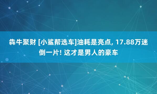 犇牛聚财 [小鲨帮选车]油耗是亮点, 17.88万迷倒一片! 这才是男人的豪车