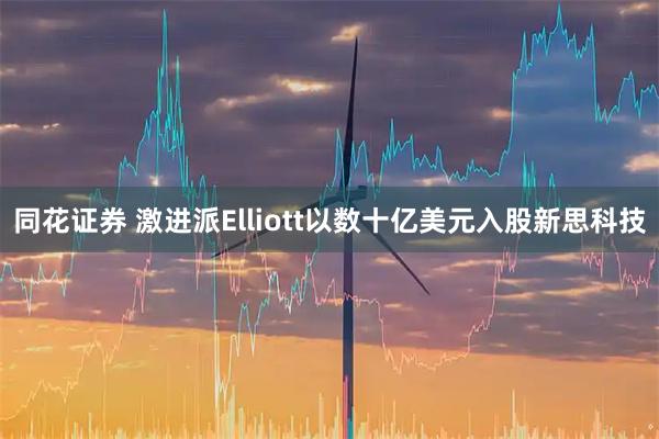 同花证券 激进派Elliott以数十亿美元入股新思科技