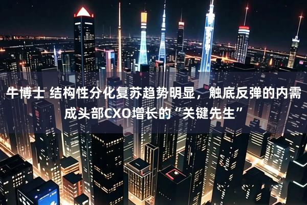 牛博士 结构性分化复苏趋势明显，触底反弹的内需成头部CXO增长的“关键先生”