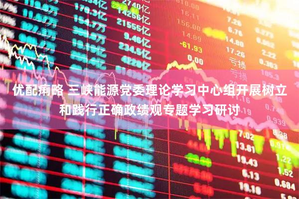 优配痢略 三峡能源党委理论学习中心组开展树立和践行正确政绩观专题学习研讨